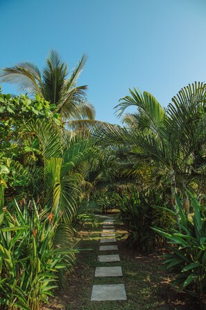 Property entrance - Hidden Wave (Sipacate)