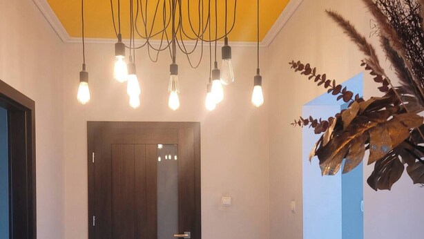 Un pasillo con una puerta de madera, una planta a la derecha y un aparador negro.