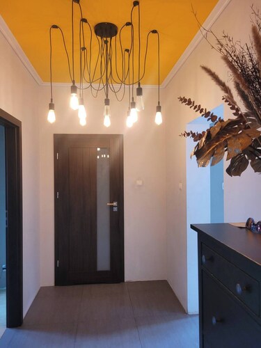 Airy Room with TV & Double Bed: Perfect for Public Transport & Pets Enthusiasts 