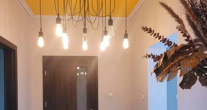 Airy Room with TV & Double Bed: Perfect for Public Transport & Pets Enthusiasts