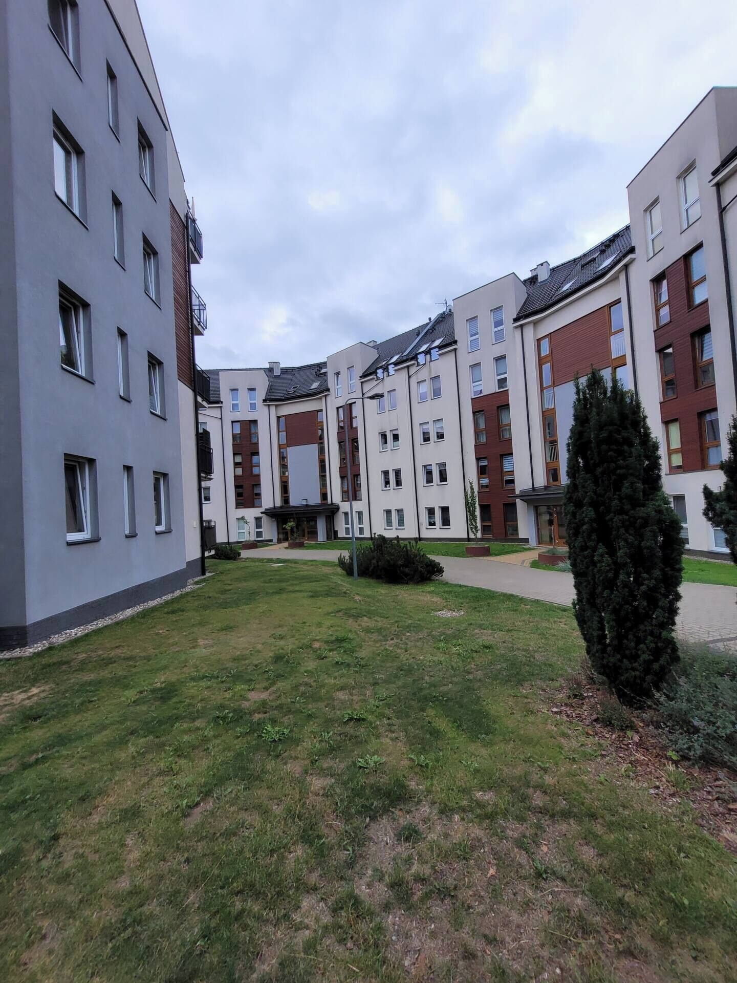 A courtyard with modern apartment buildings, a central pathway, and a small grassy area with a coniferous tree.