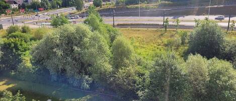 Un parc avec des bancs et un sentier, entouré de verdure et avec des bâtiments en arrière-plan.
