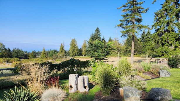 A garden with a stone pathway, various plants, and a large tree. - The Nest!! (Lantzville)