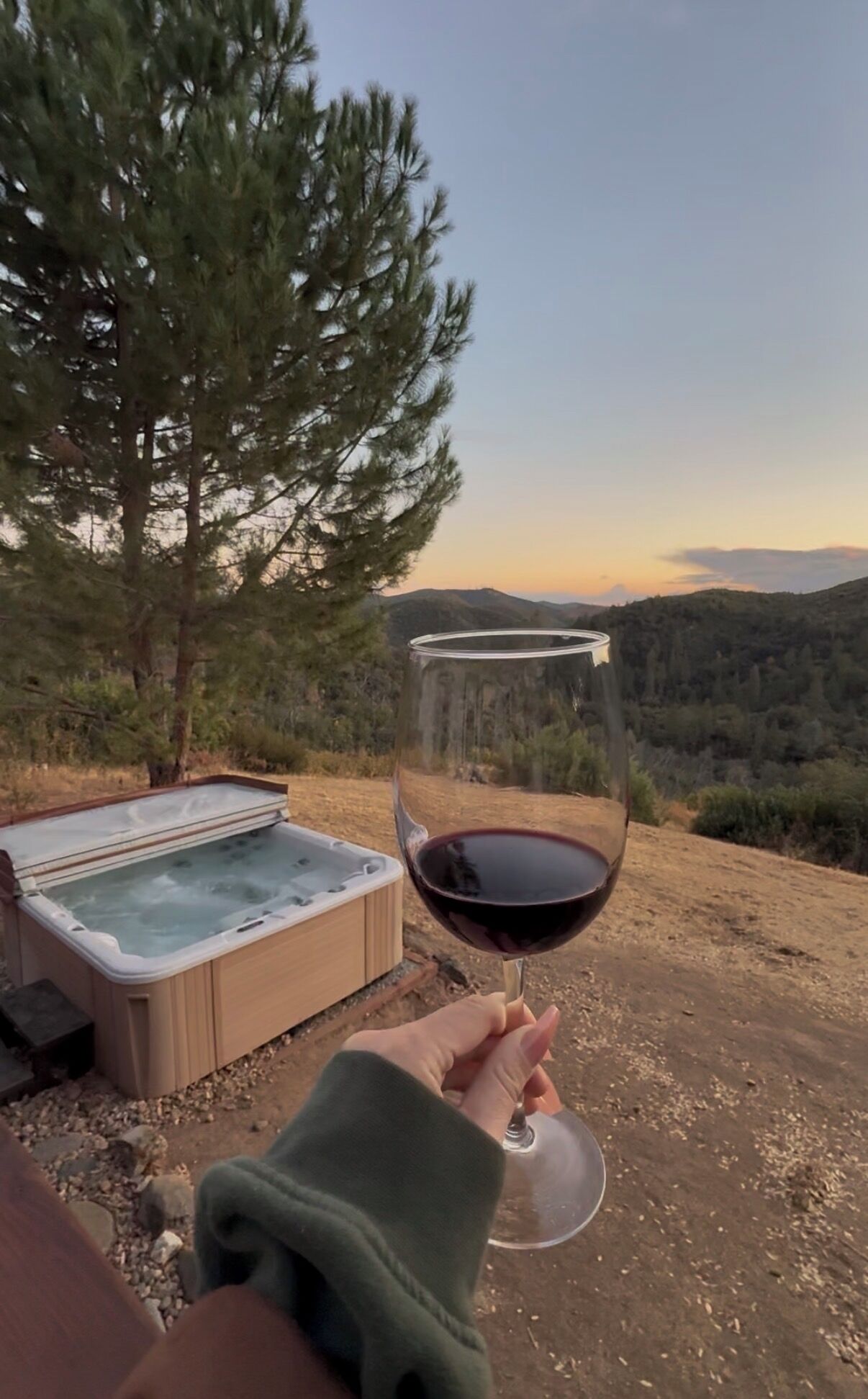 A person holding a wine glass with a hot tub and a tree in the background.