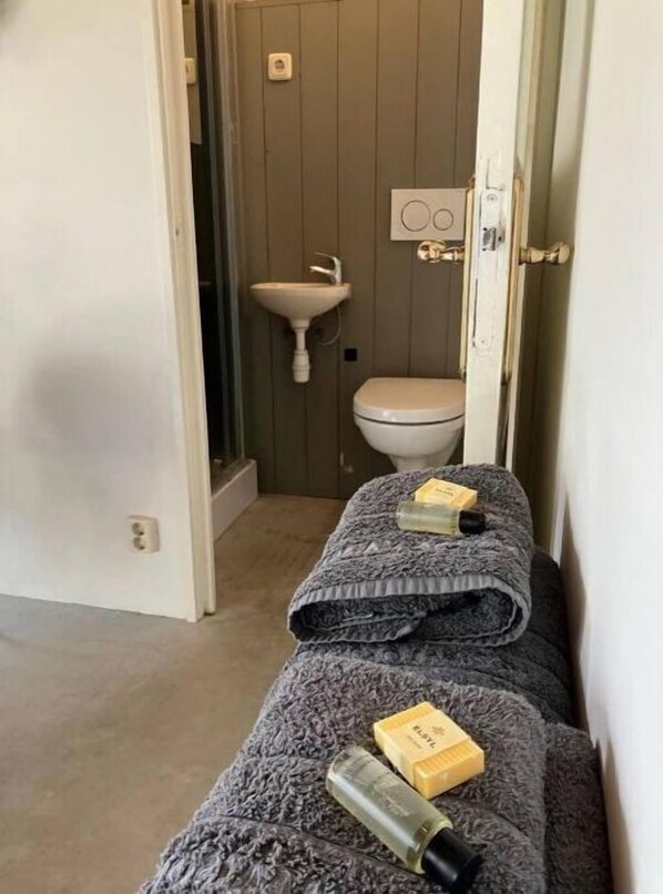 Séchoir à cheveux, serviettes fournies, savon, shampooing