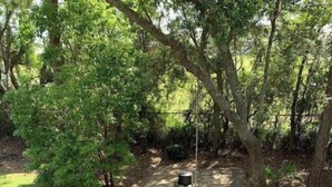 Ein Garten mit einer Holzterrasse, einem Grill und einem Baum.