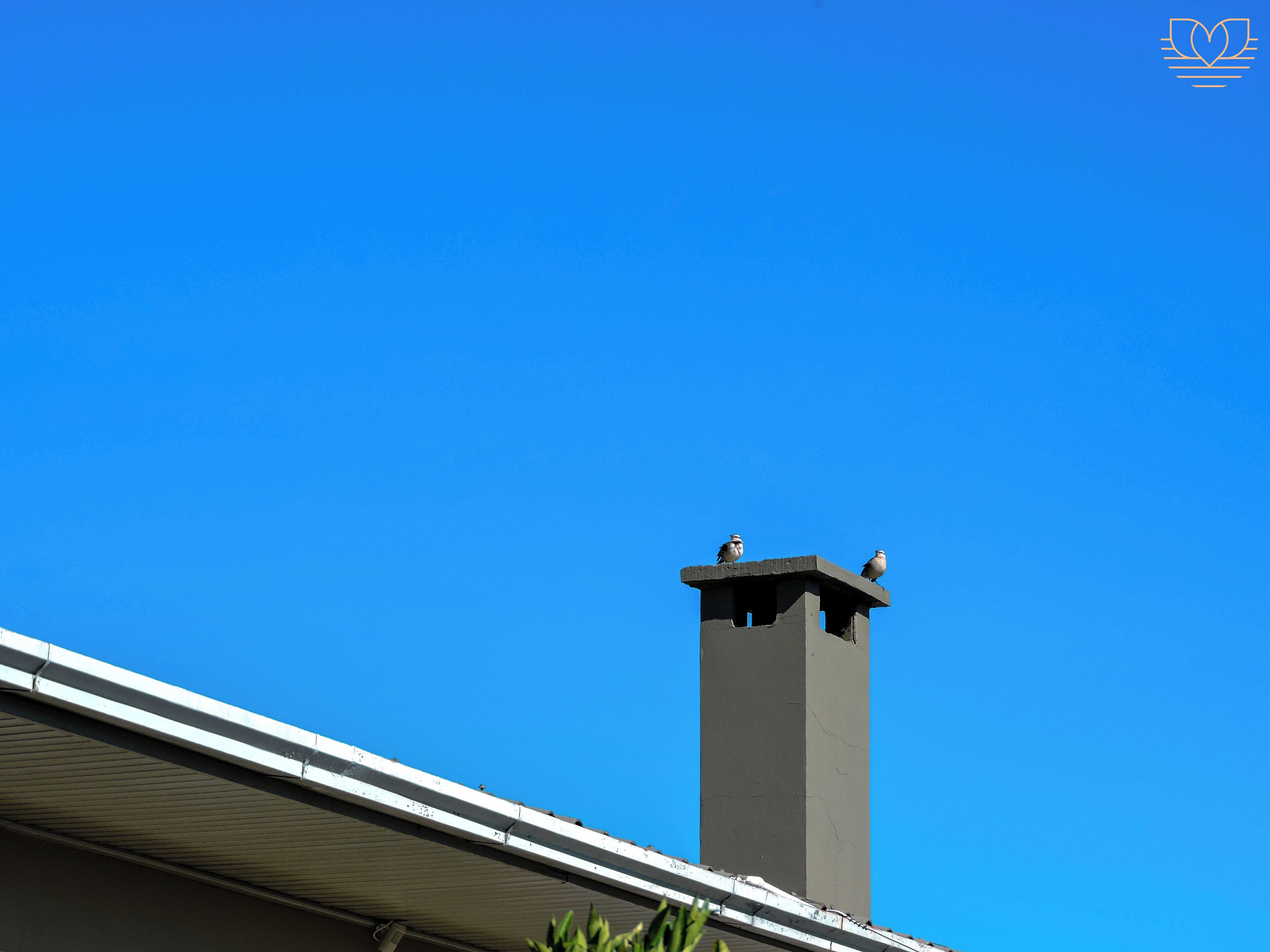 A building with a chimney and two birds perched on top.