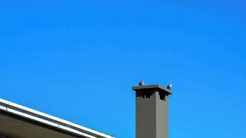 A building with a chimney and two birds perched on top.