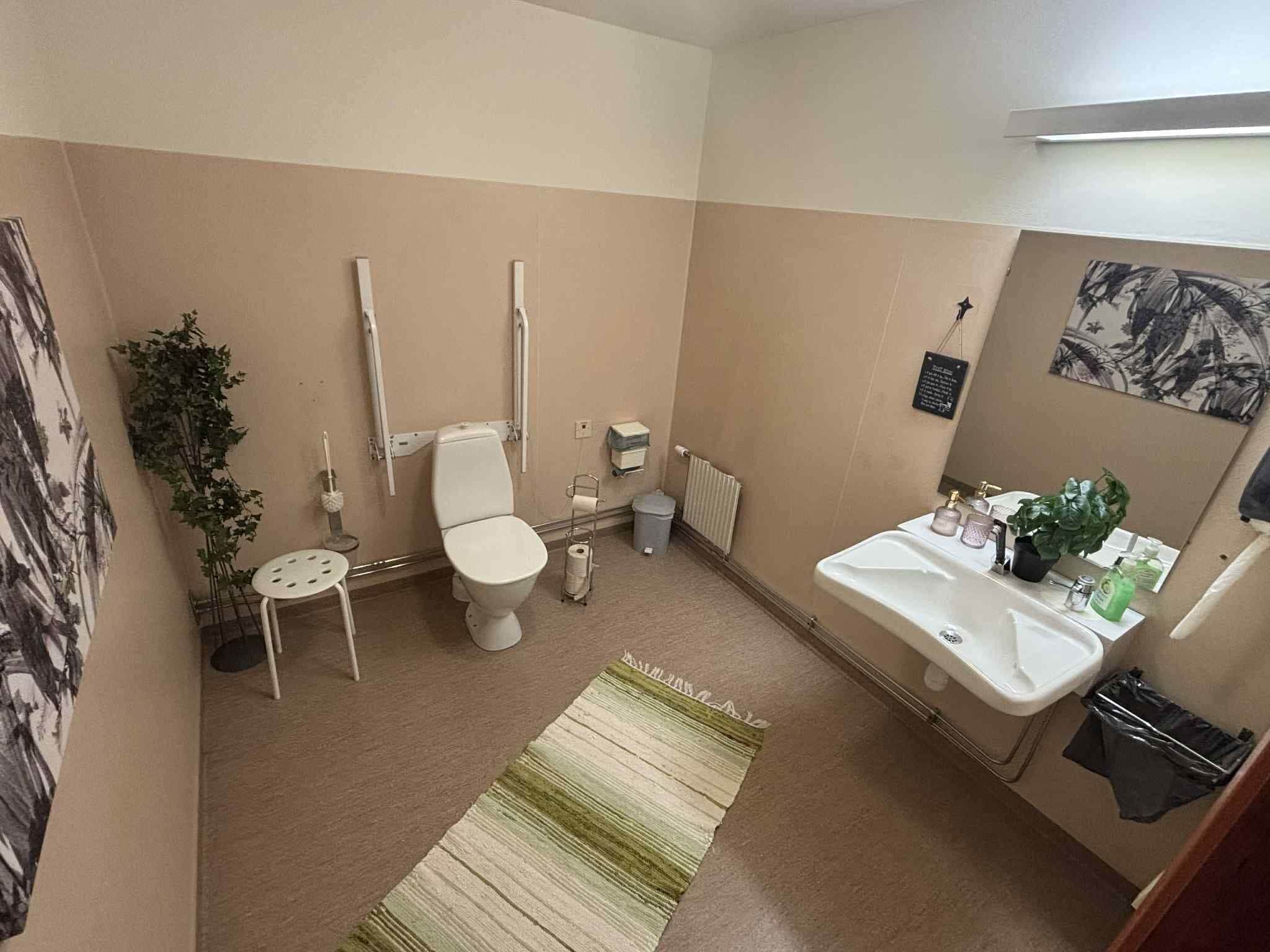 Un baño pequeño con inodoro, lavamanos y un cubo de basura. Hay una planta y un espejo en la pared.