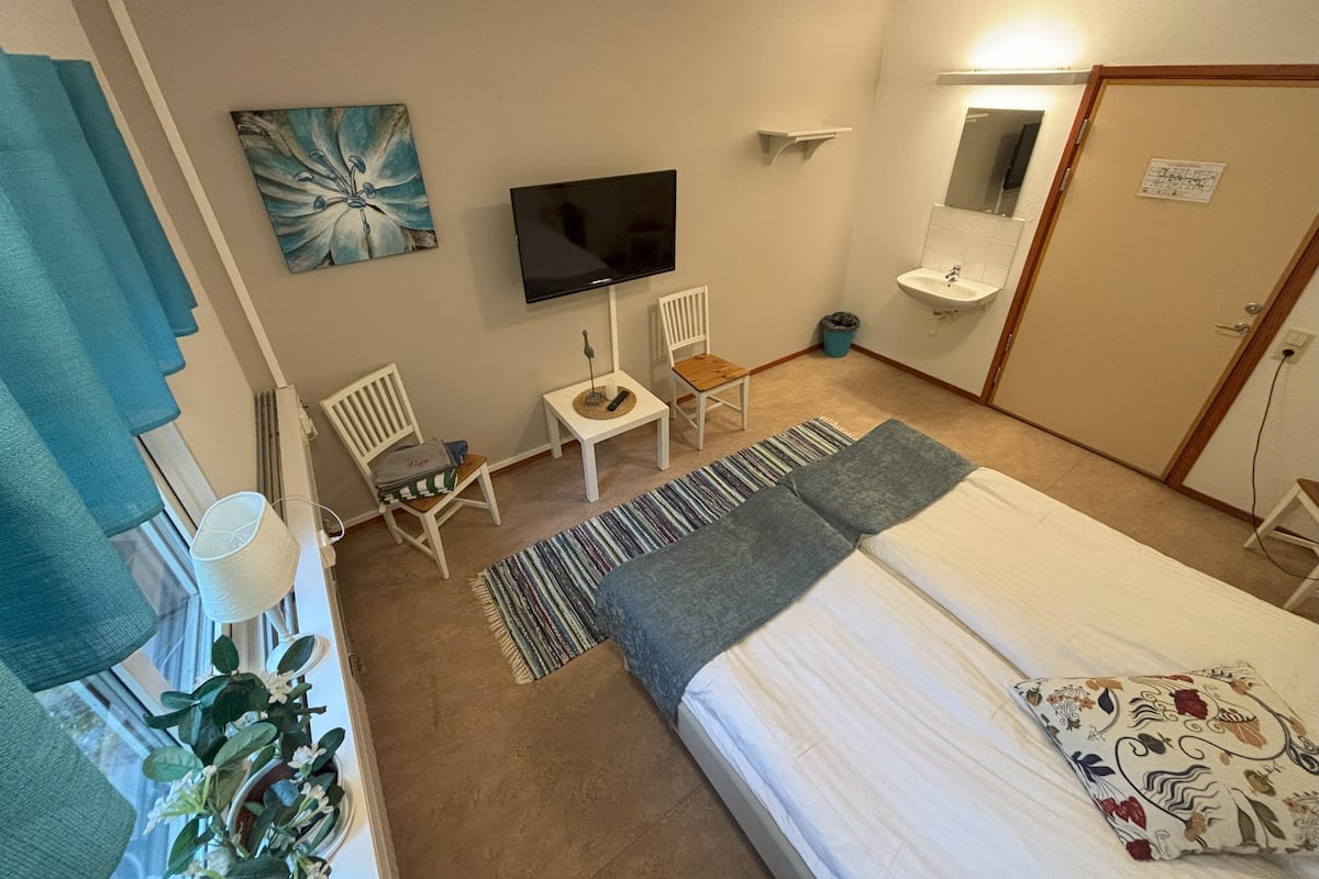 A bedroom with a bed, a TV, a chair, a small table, a plant, and a bathroom with a sink and mirror.