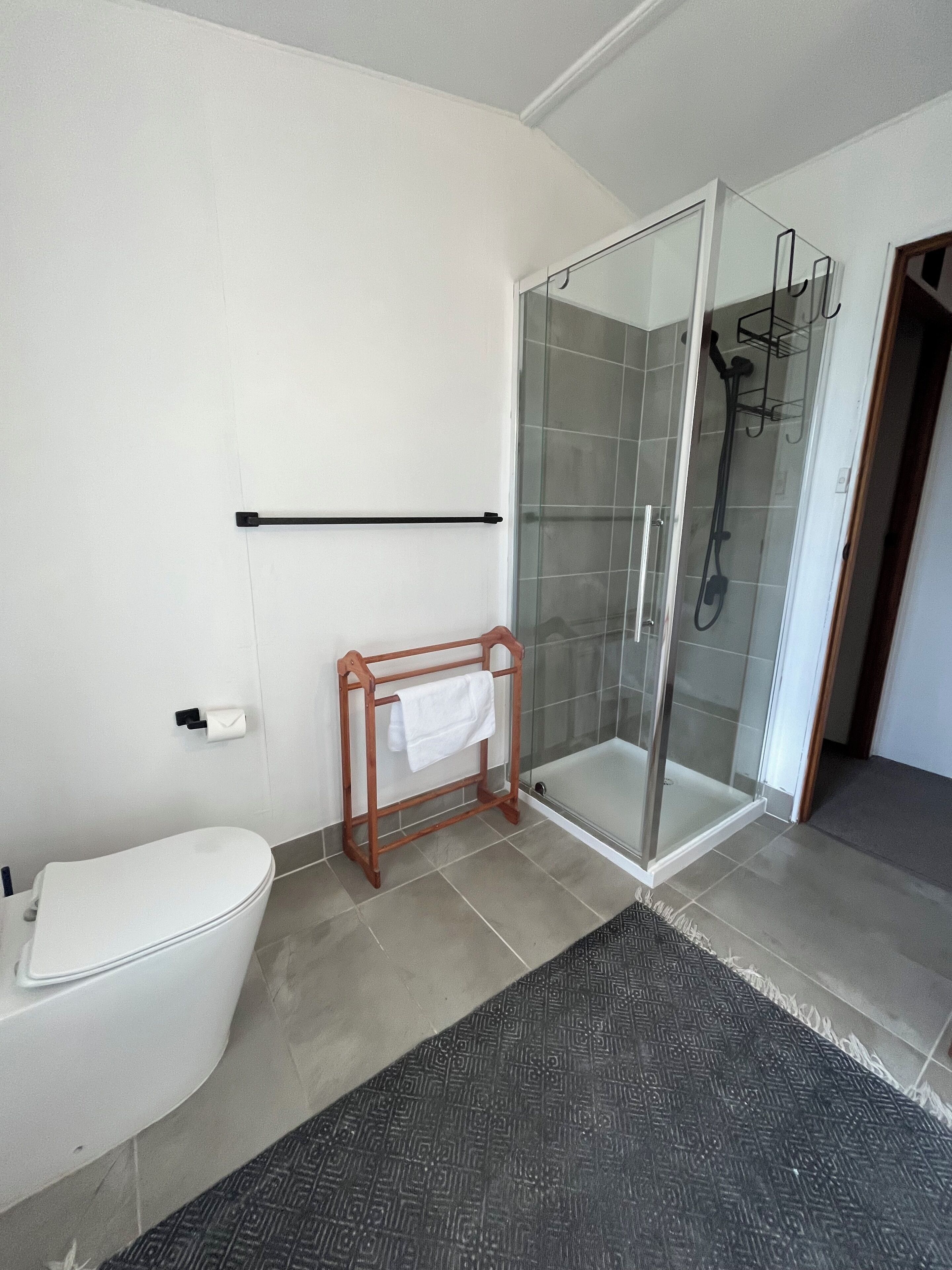 A modern bathroom with a toilet, a glass shower enclosure, and a towel rack.