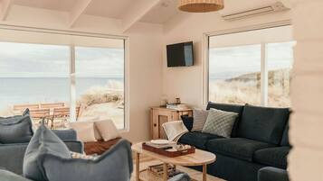 Smart TV, fireplace, books
