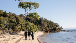 A sandy beach with a few people walking along the shore, surrounded by dense vegetation and trees.