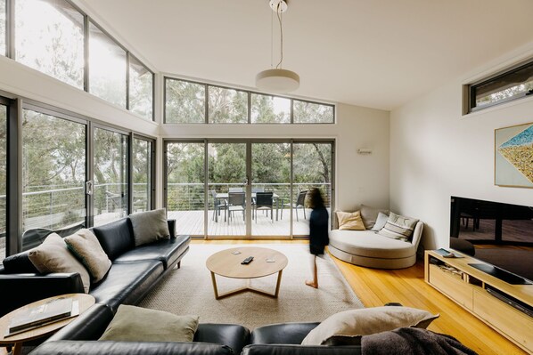 Smart TV, fireplace, books