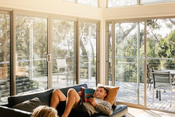 Smart TV, fireplace, books