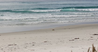 Salt Shack Bicheno | coastal charm, steps from the surf