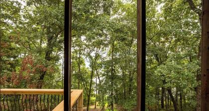 The Waters Edge on Greers Ferry lake. Take a walk to personal pebble beach