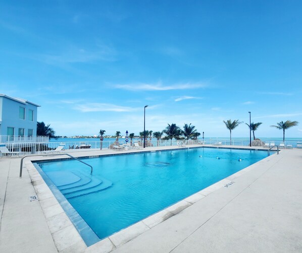 Relax by the pool surrounded by palm trees and lounge chairs.