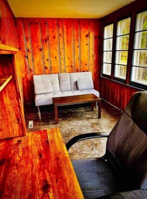 TV, fireplace, books