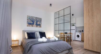 Zen Studio