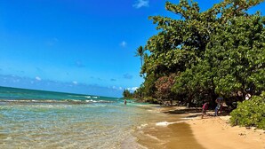 Une plage avec une eau claire et peu profonde, un rivage sablonneux et une végétation luxuriante.