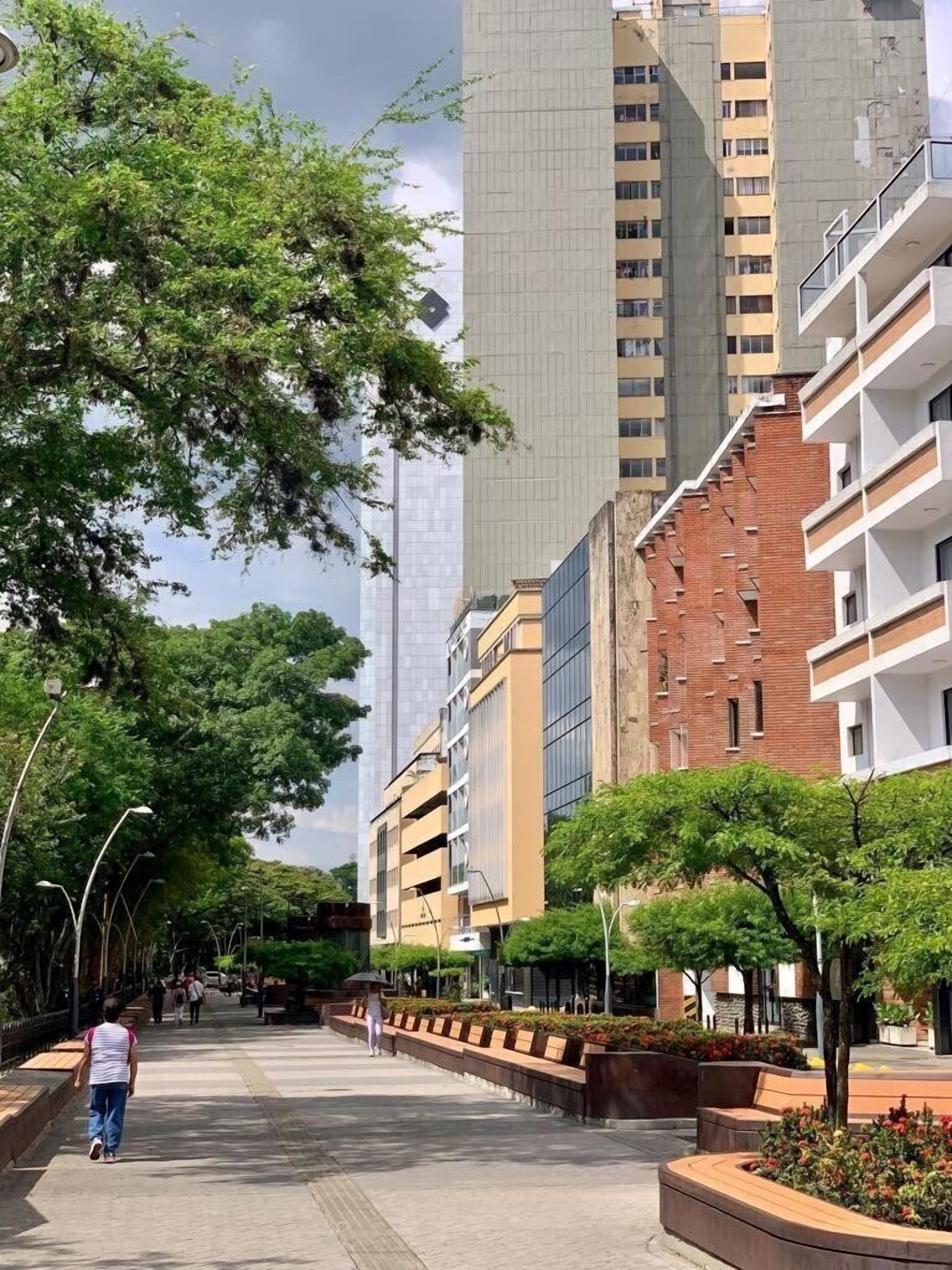 A pedestrian walkway lined with trees and benches, flanked by modern buildings with balconies and a mix of brick and glass facades.
