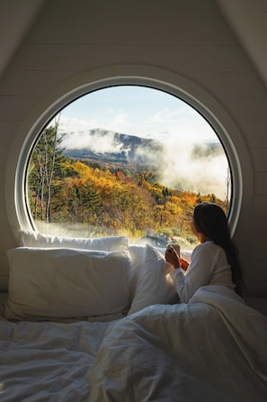 1 slaapkamer, een strijkplank/strijkijzer, gratis wifi, beddengoed