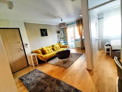 Elegant apartment with free parking and Wi-Fi, pet-friendly!