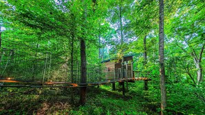 A treehouse elevated on stilts in a dense forest.