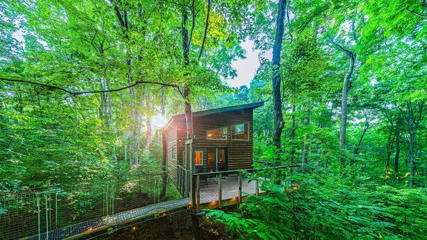 A wooden cabin surrounded by dense forest, accessible via a wooden bridge.
