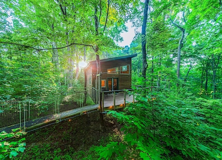 Exterior. Among the Trees - The Library