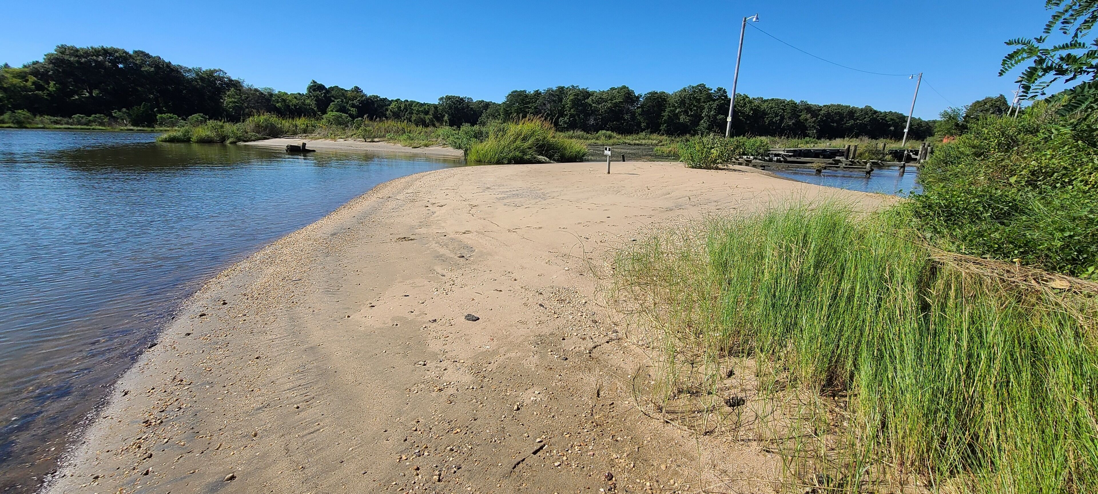A sandy beach with a calm river, surrounded by greenery and a clear sky.