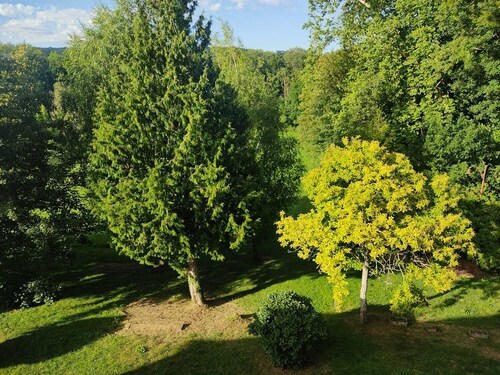 Appartement * Paris * Champagne * Disney * Citry