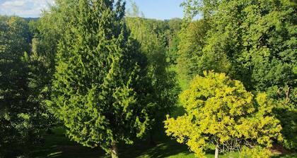 Appartement * Paris * Champagne * Disney * Citry