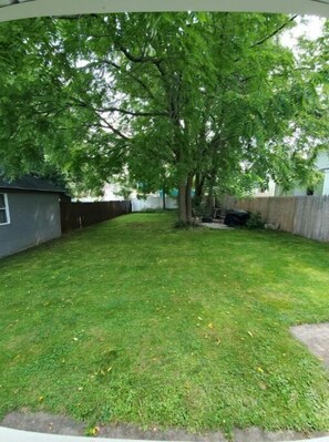 Backyard with a well-maintained lawn and a large tree providing shade.