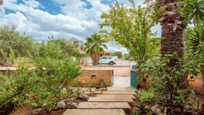 A paved pathway leading to a gate, surrounded by lush greenery and a palm tree. - Acquamarina Gaia by Interhome (San Vito lo Capo)