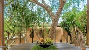 A wooden table with a bowl of fruit and green leaves in a covered outdoor area with trees and a building in the background. - Acquamarina Gaia by Interhome (San Vito lo Capo)