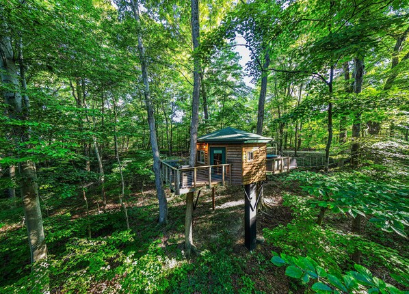 A treehouse cabin elevated on stilts in a dense forest.