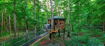 Among the Trees - The Nest