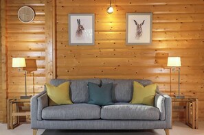 Smart-TV, Kamin