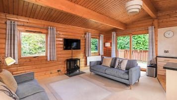 Smart TV, fireplace, stereo