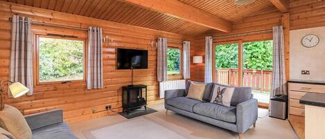 TV connectée, cheminée, chaîne hi-fi