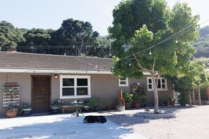 A house with a brown door, windows, and a tree in front.