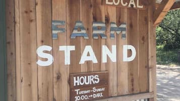 Detalle del exterior