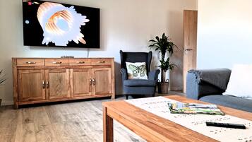 TV connectée, cheminée, lecteur de DVD, livres