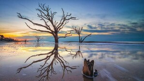 A tree with bare branches reflected in calm water, a wooden stump, and a sunset sky. - Marshfront Villa In The Trees - Near Beach & Bay
 (Edisto Island)