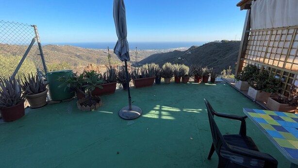 Une terrasse avec vue sur l’océan, agrémentée de plantes en pot et d’une table avec des chaises.