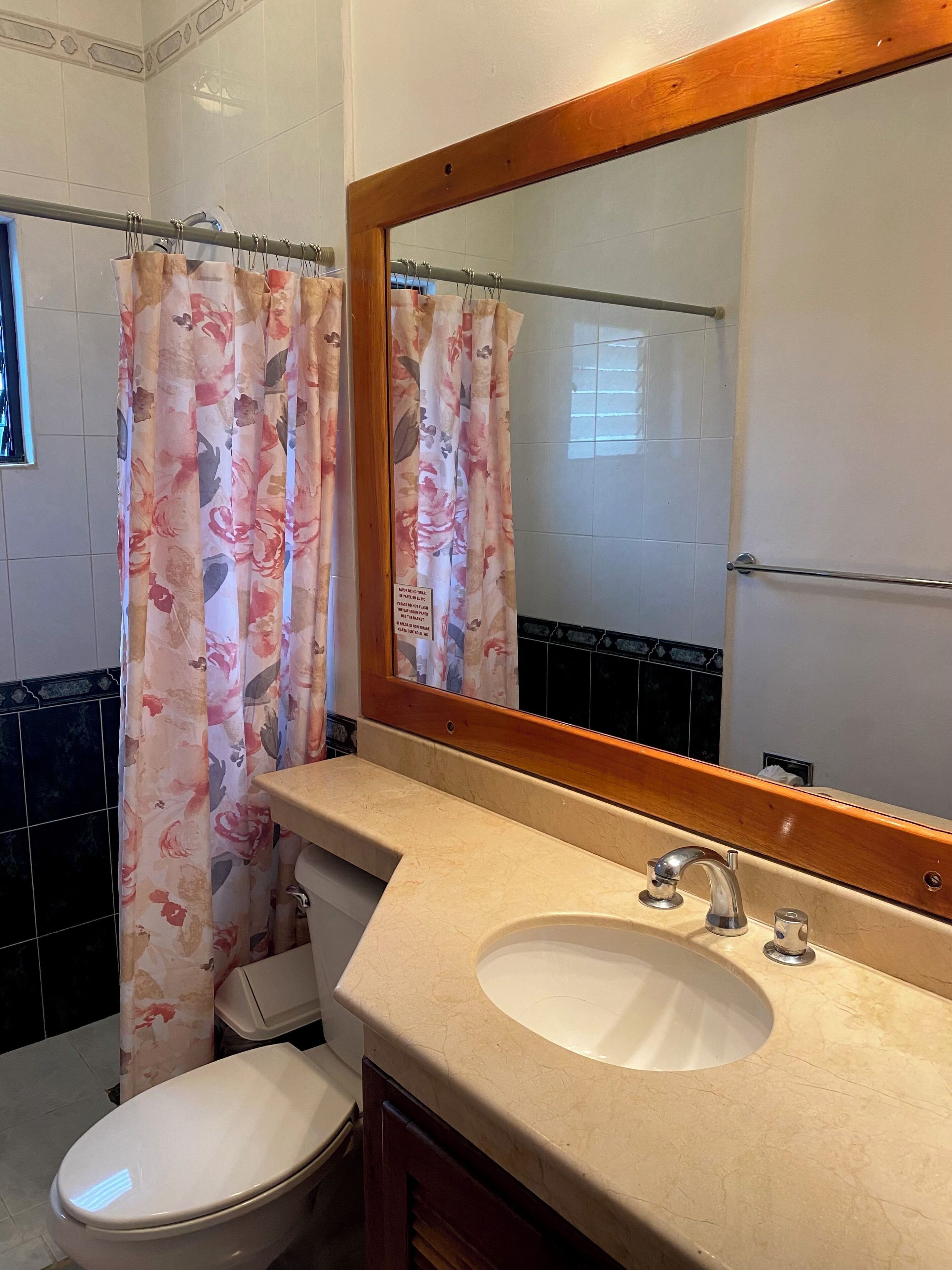 Shower, towels, toilet paper
