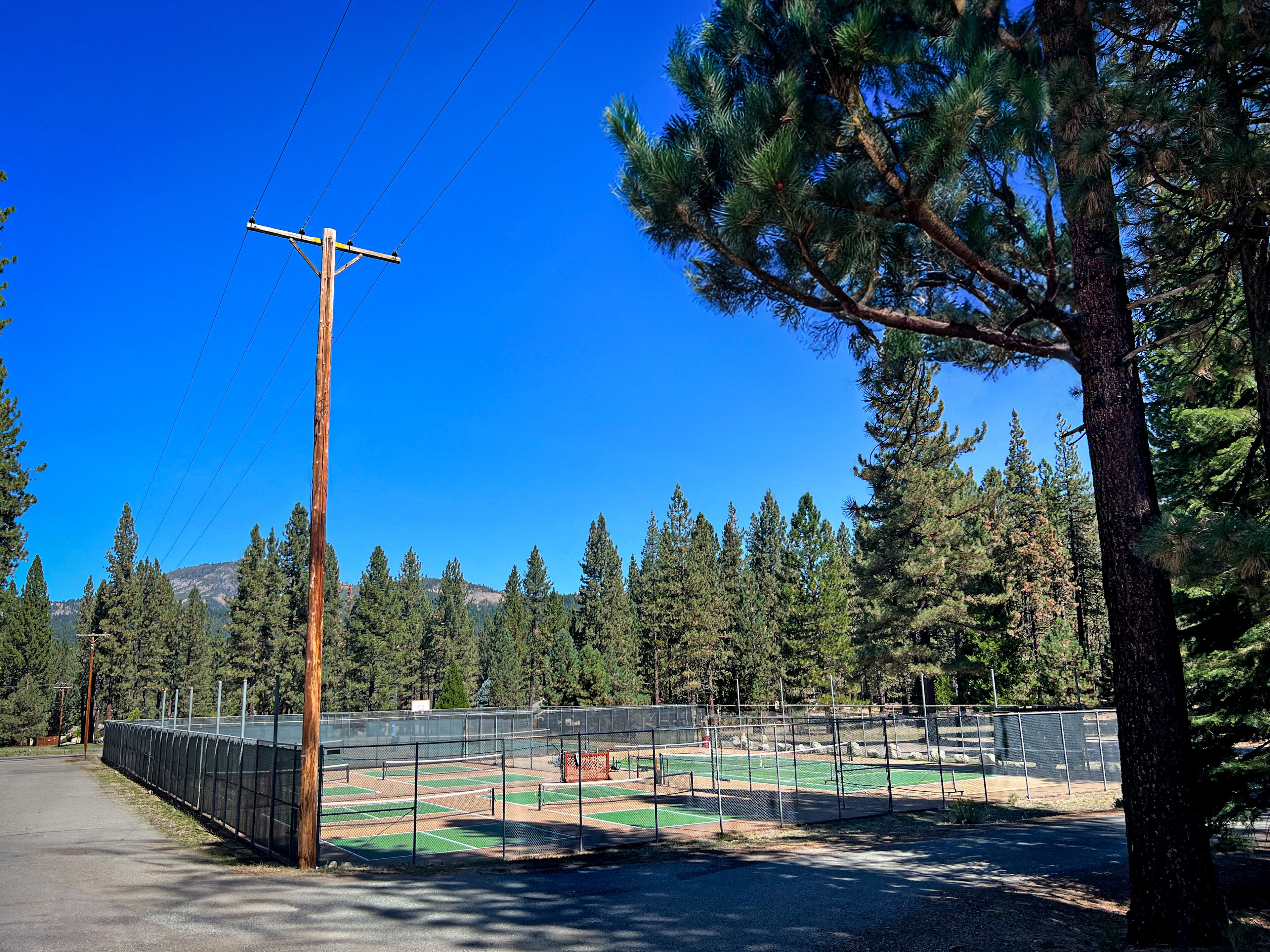 A tennis court surrounded by trees and a clear sky.