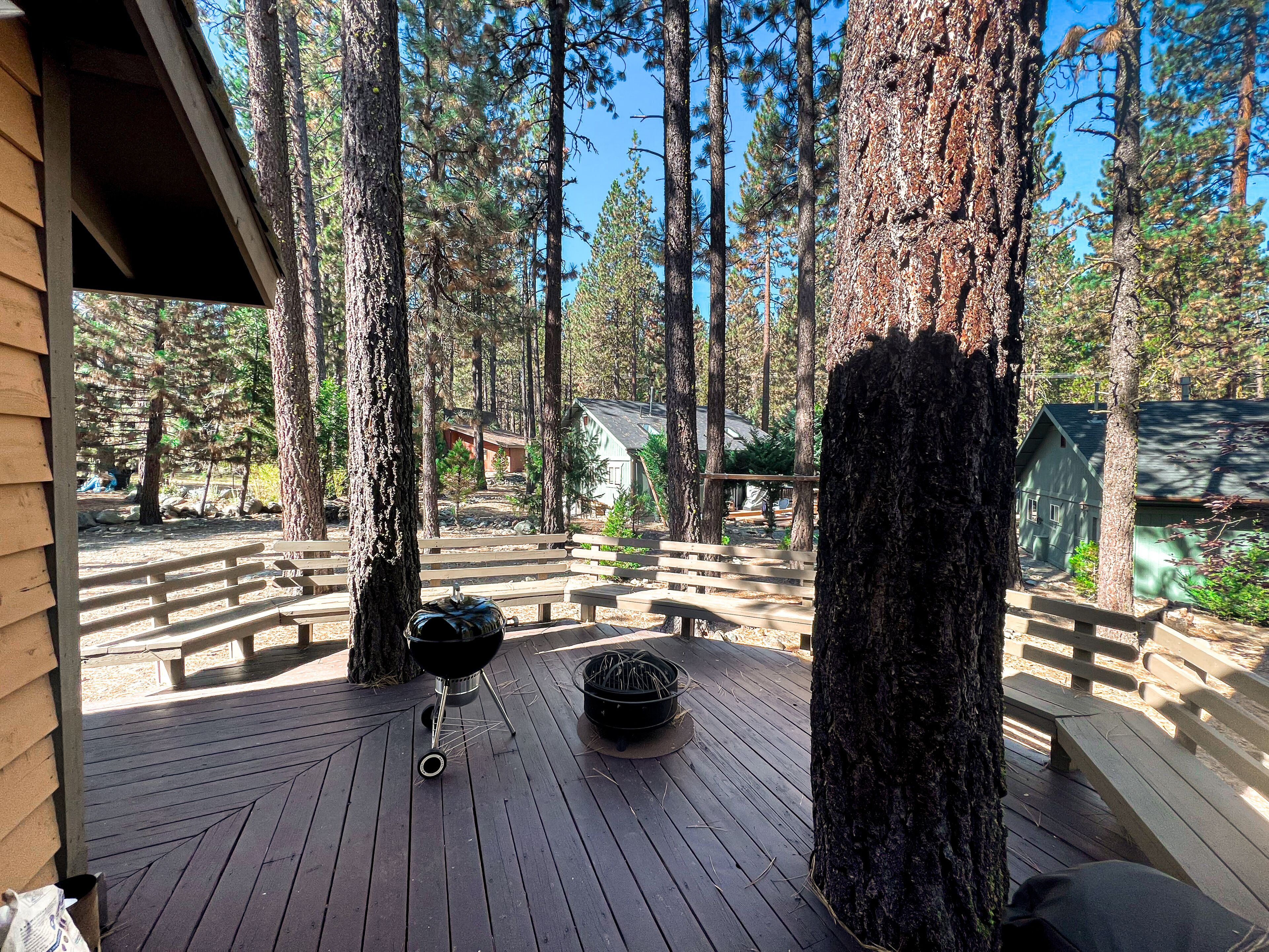 Une terrasse en bois avec un barbecue, entourée de grands pins.